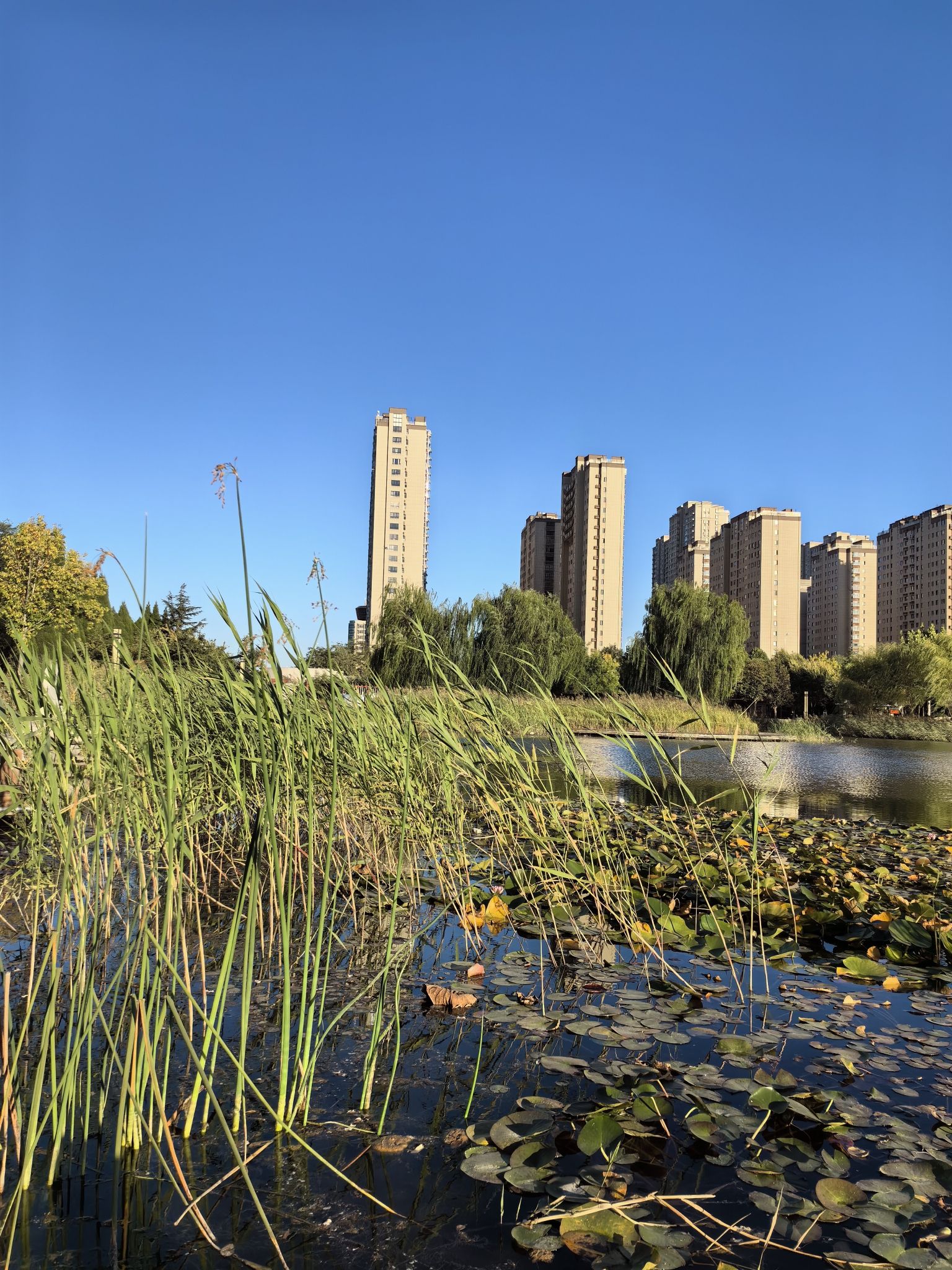 章丘龙盘山森林公园旅行图片 2