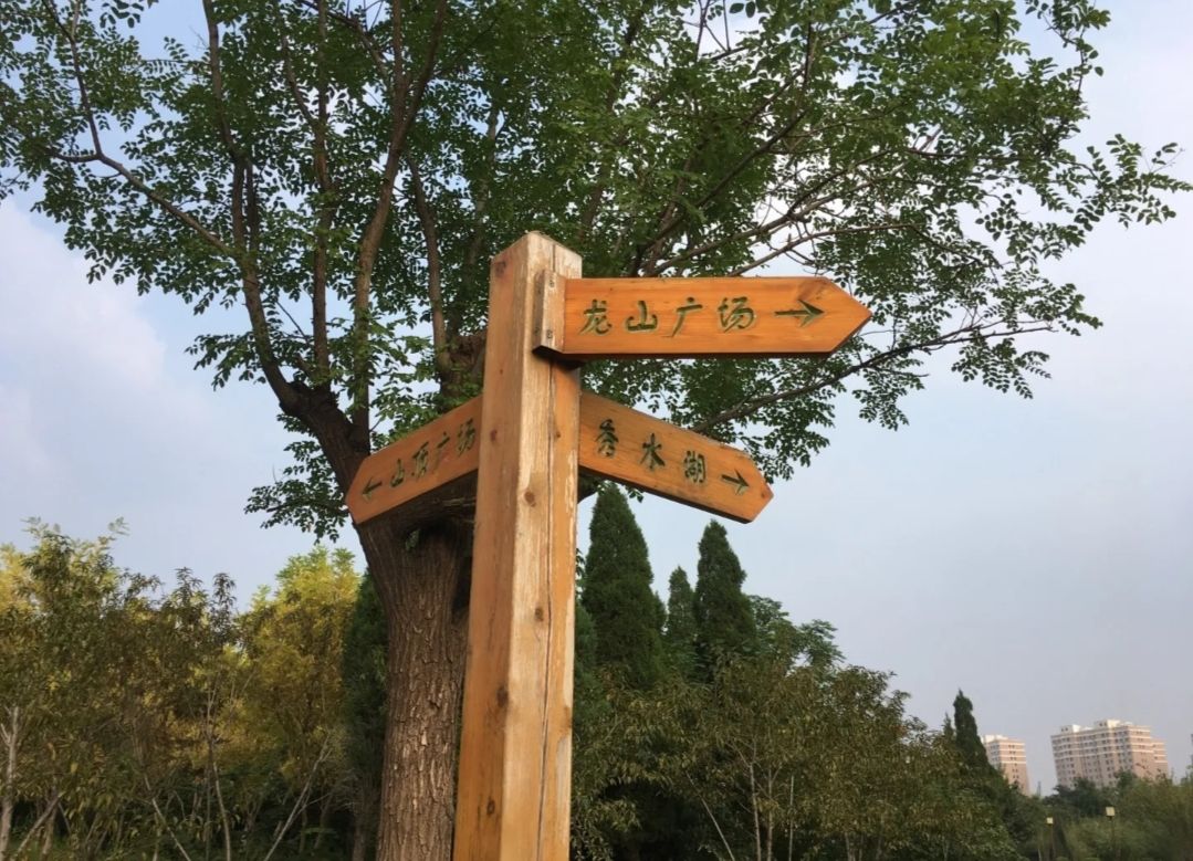 章丘龙盘山森林公园旅行图片 3