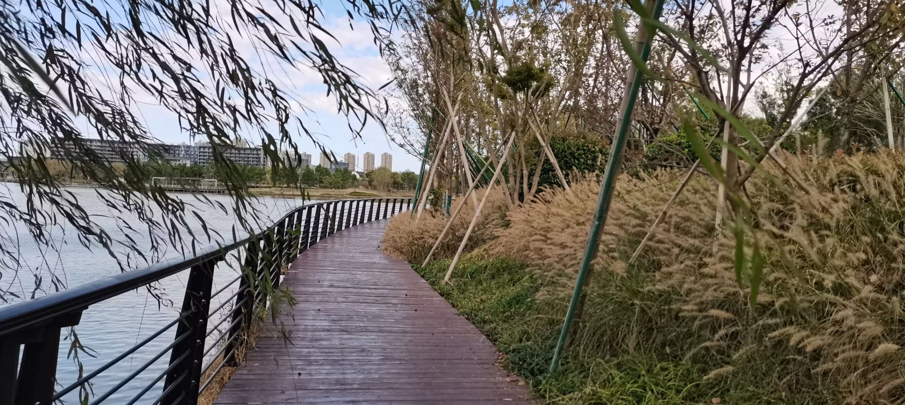 天明湖公园旅行图片 3