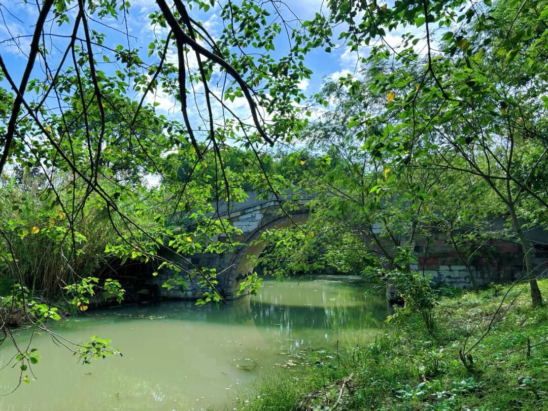 天福国家湿地公园旅行图片 2