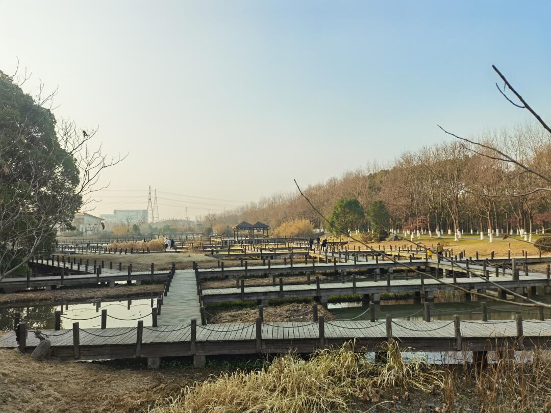 天福国家湿地公园旅行图片 1