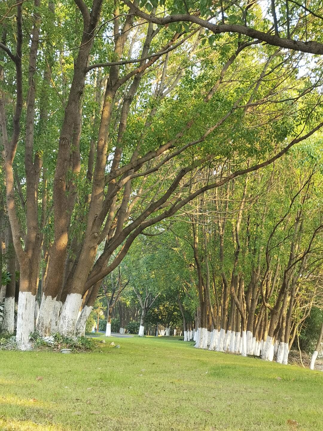 天福国家湿地公园旅行图片 2