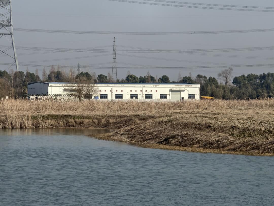 天福国家湿地公园旅行图片 1
