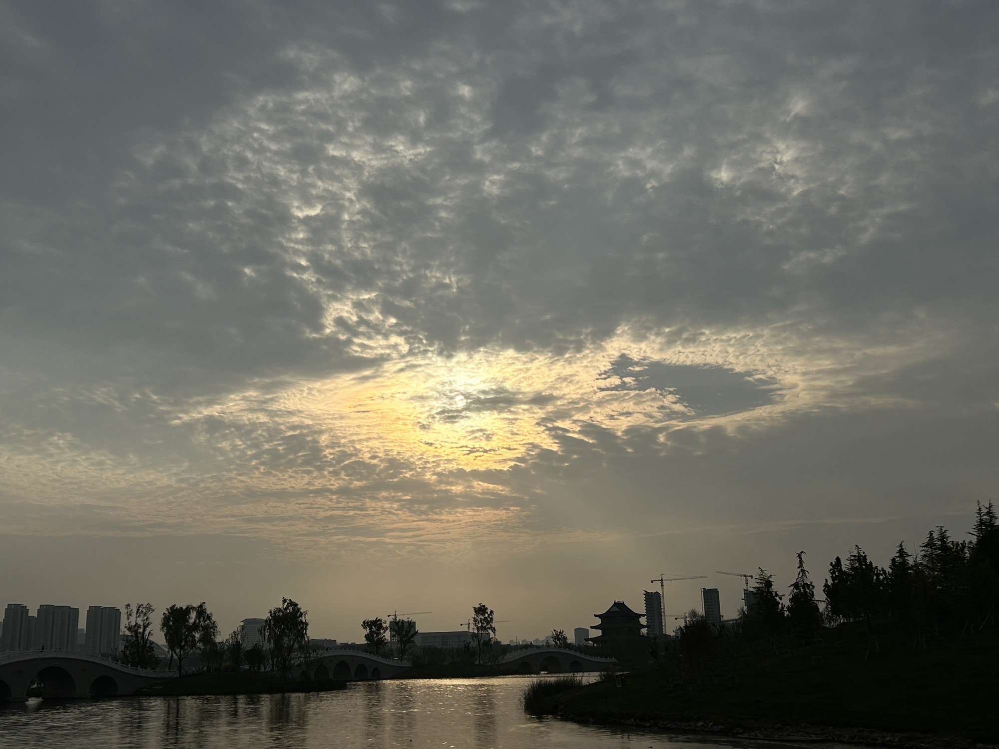 丹河人工湿地公园旅行图片 2