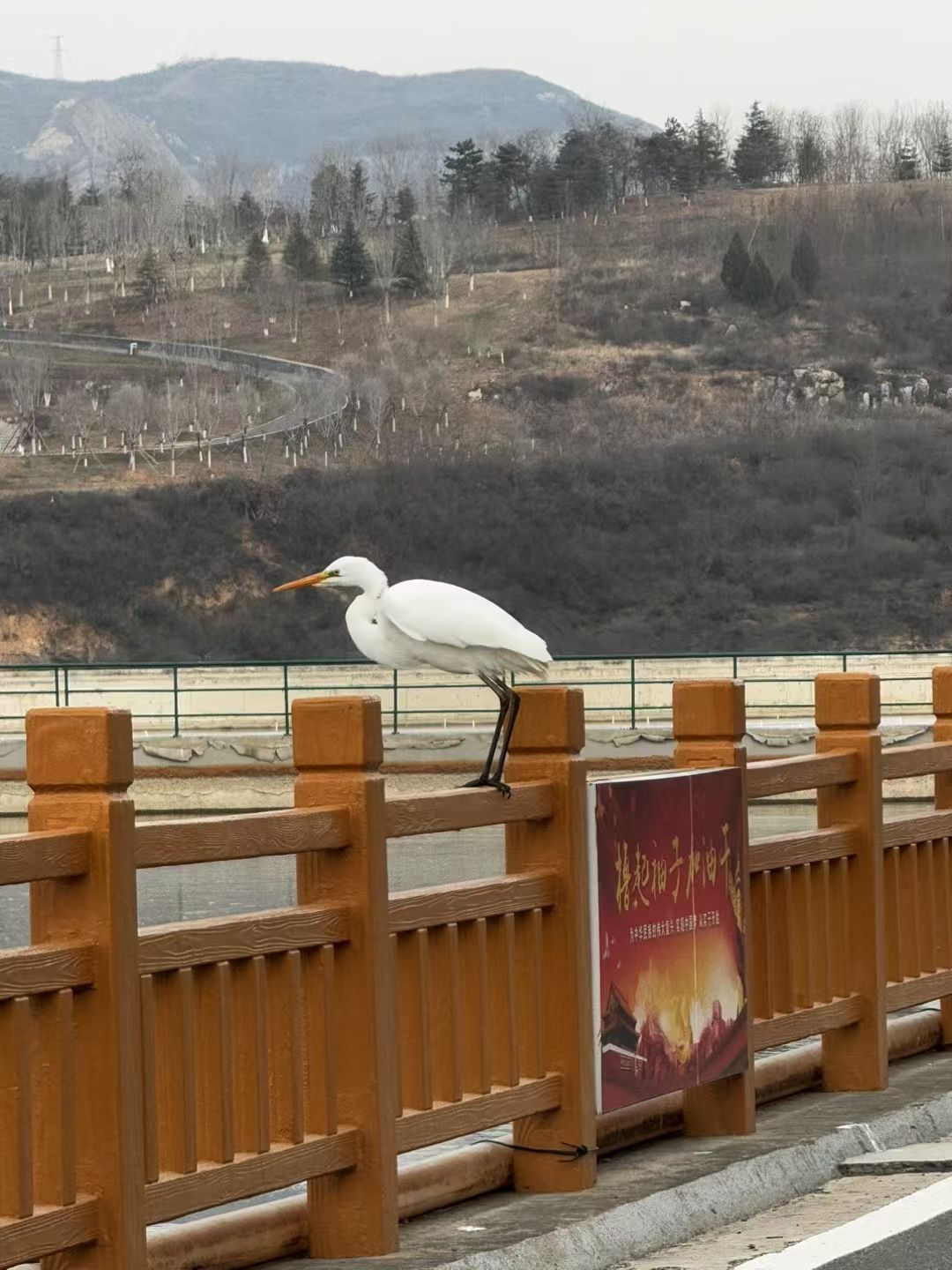 丹河人工湿地公园旅行图片 2