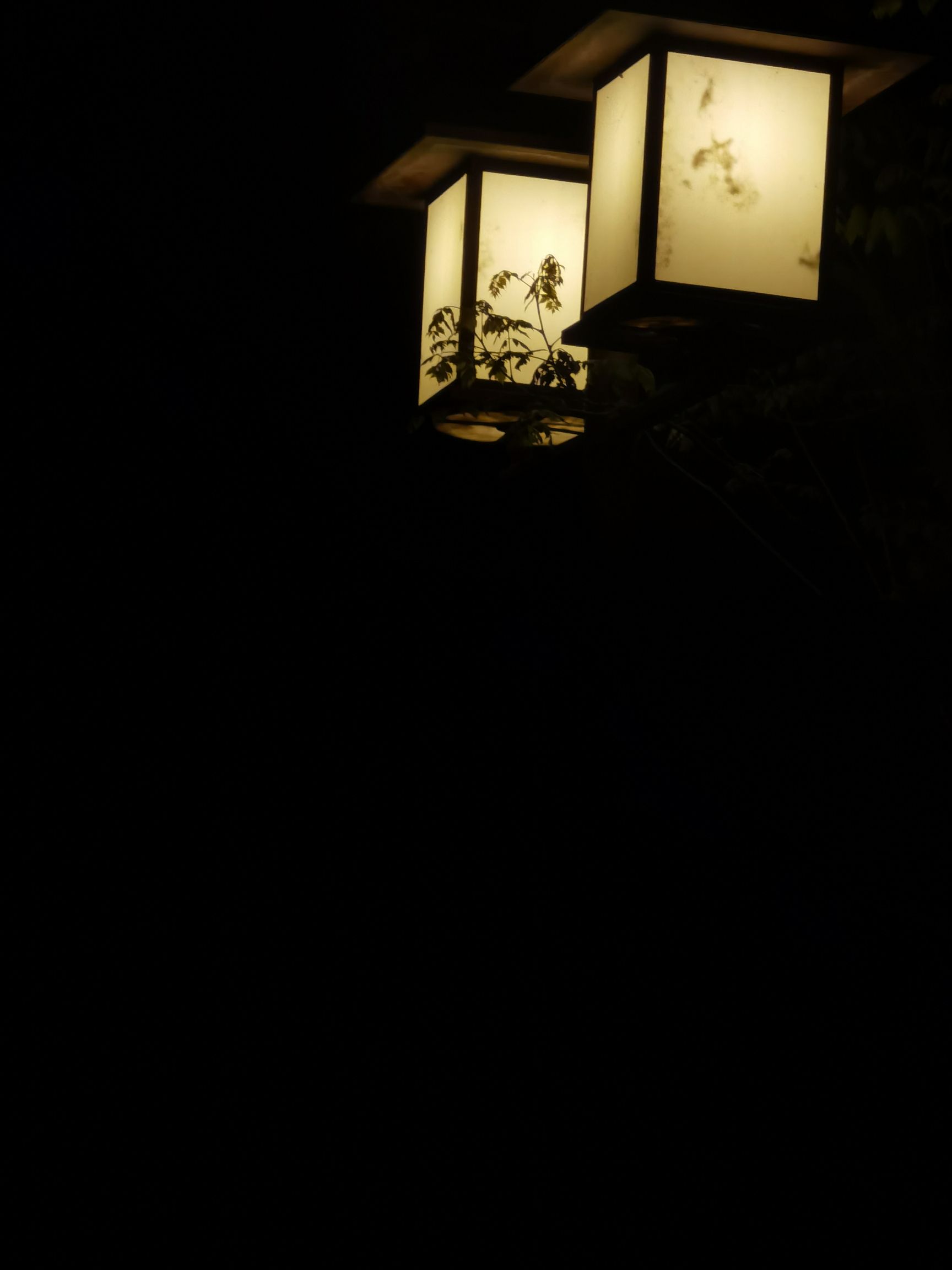 阜城八景公园旅行图片 1