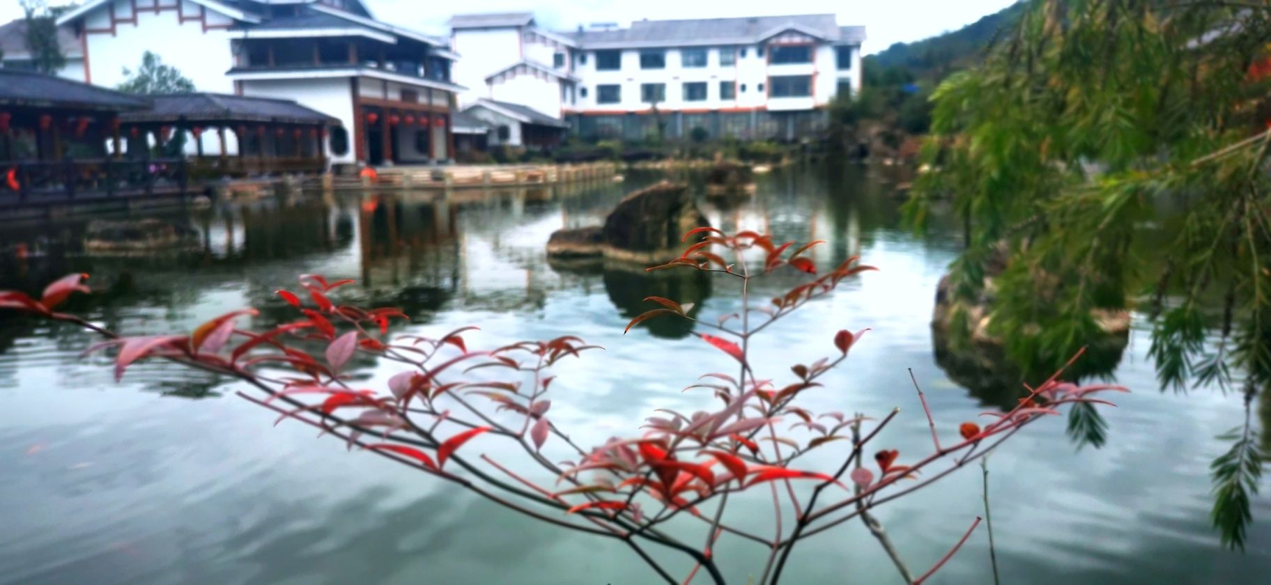 武夷香江茗苑旅行图片 1