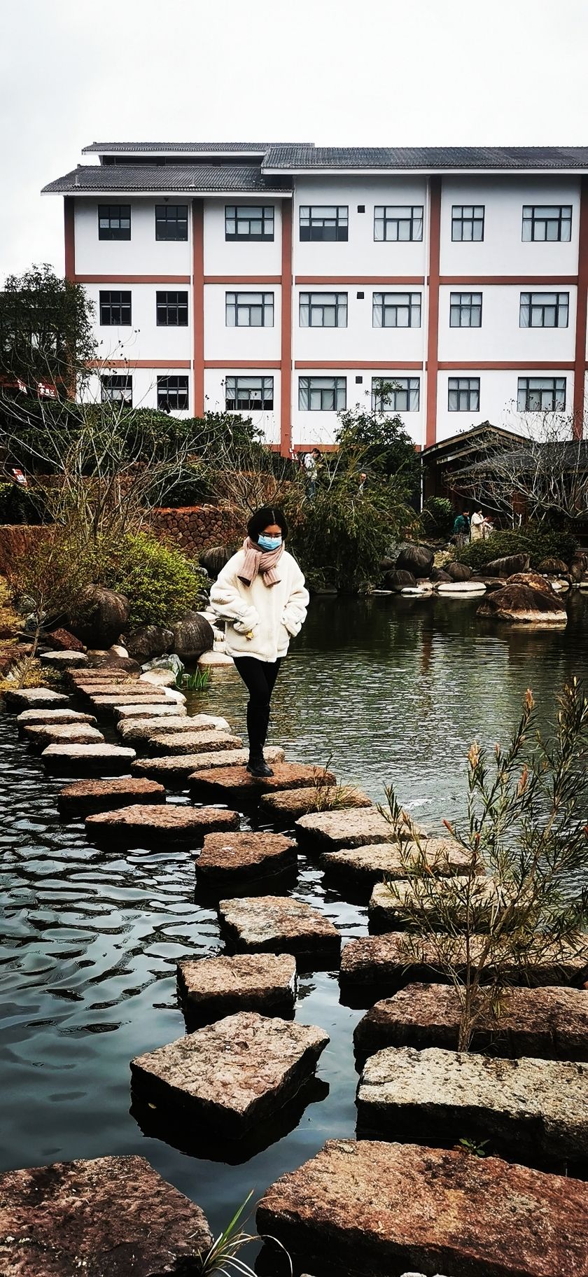 武夷香江茗苑旅行图片 3
