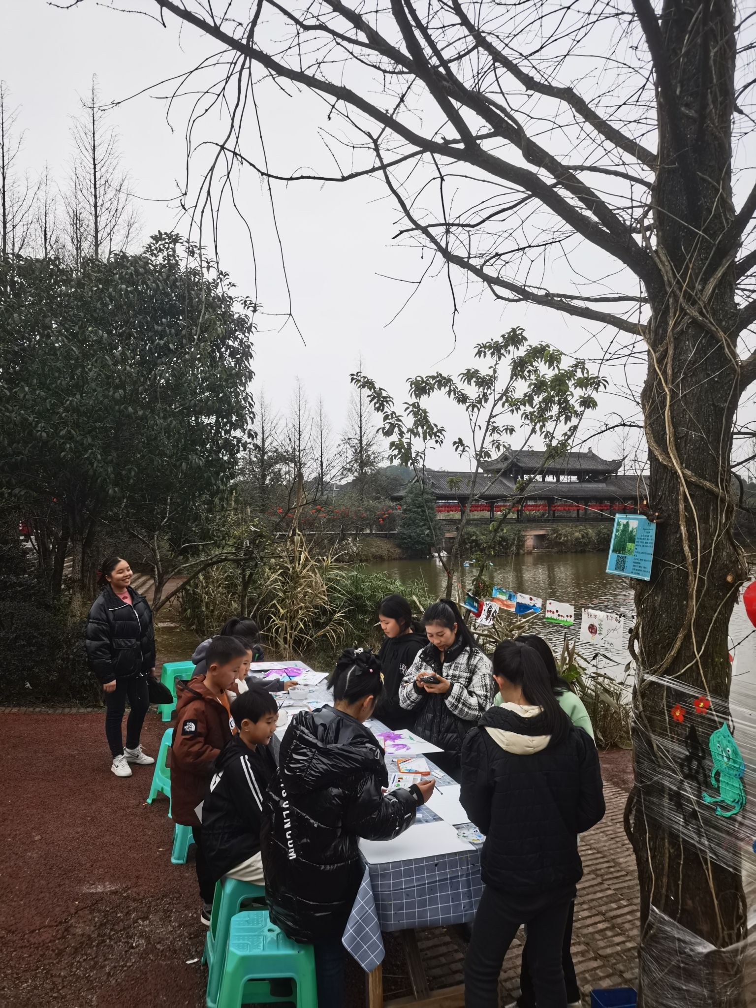 赤水凤凰花坞旅行图片 1