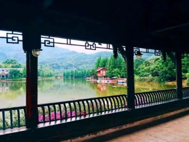 赤水凤凰花坞旅行图片 3