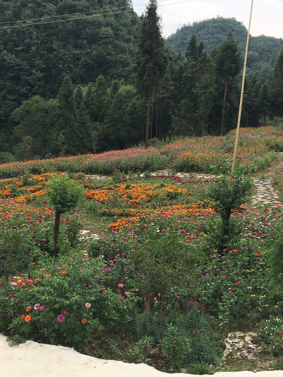 花千谷生态小镇旅行图片 2