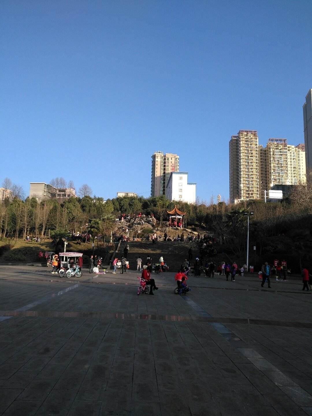 白鹤公园旅行图片 2