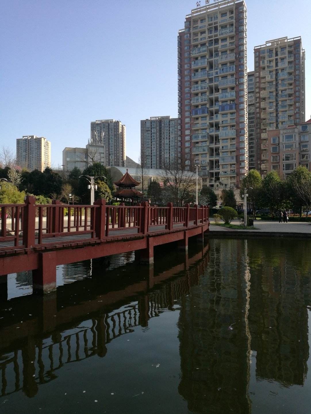 白鹤公园旅行图片 3