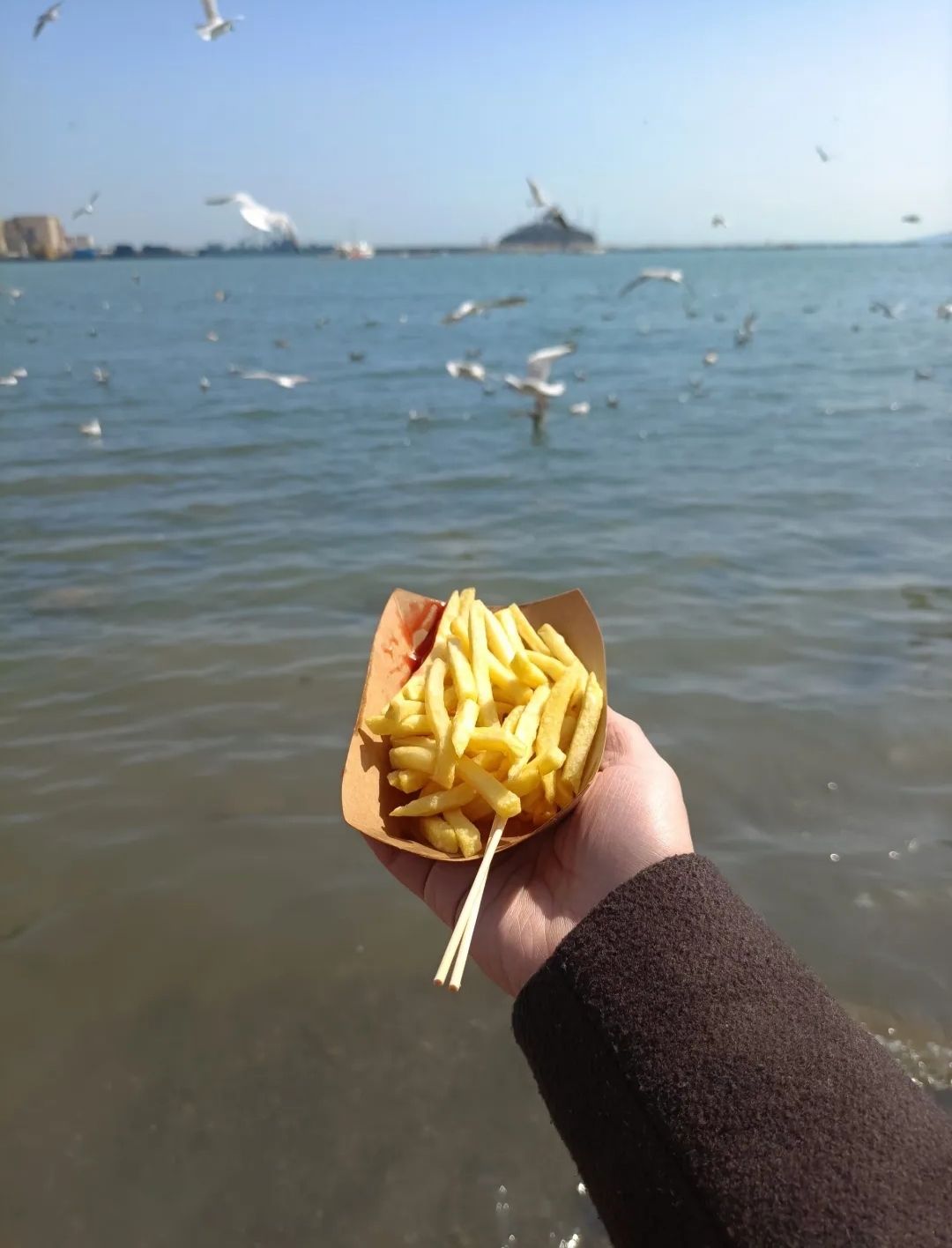 海滨风景区旅行图片 3