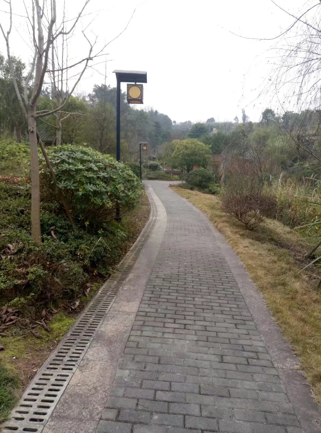 新妙湿地公园旅行图片 3