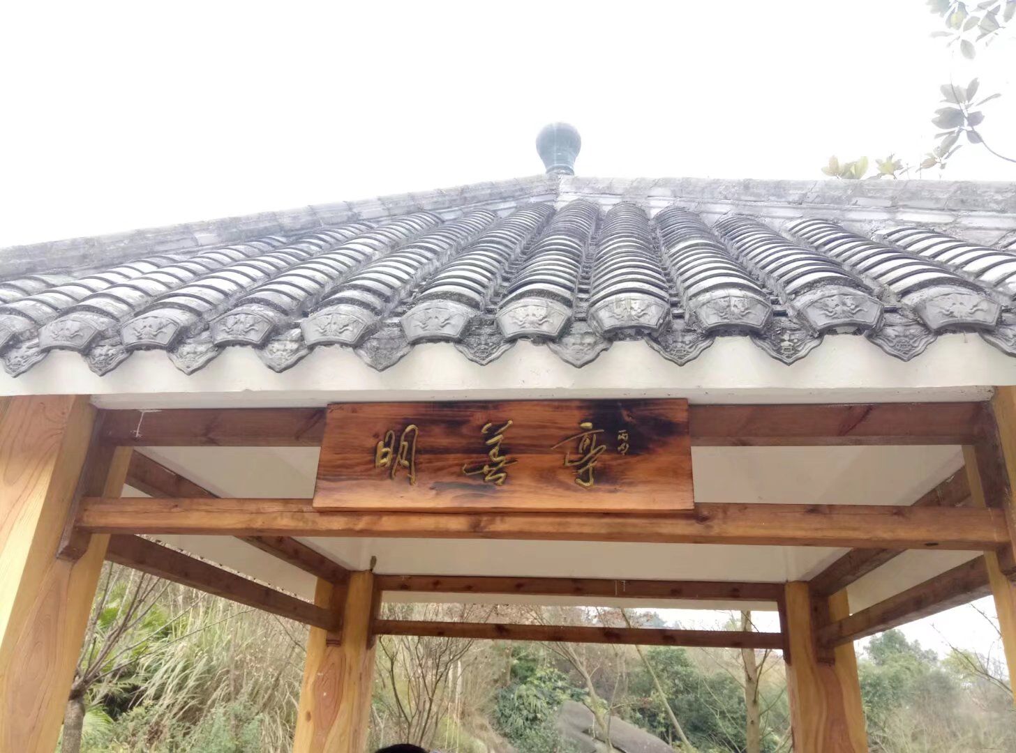 新妙湿地公园旅行图片 2