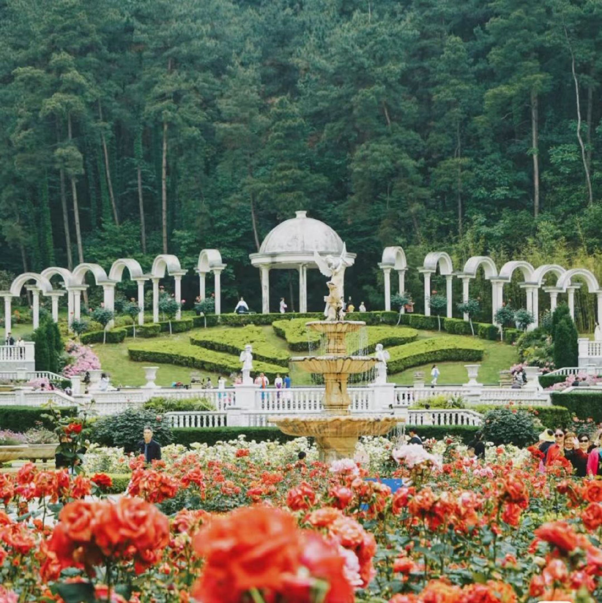 登高云山森林公园旅行图片 2