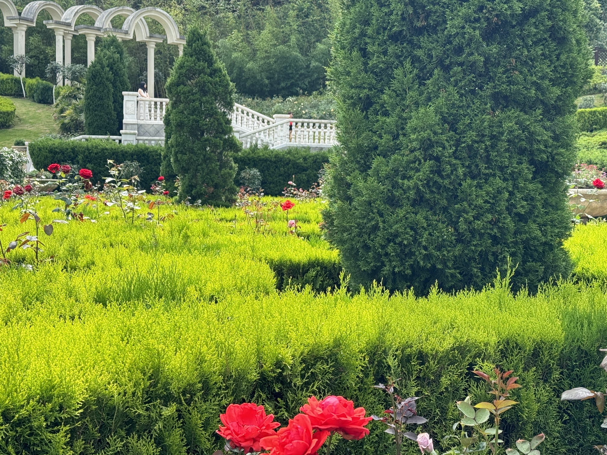 登高云山森林公园旅行图片 2