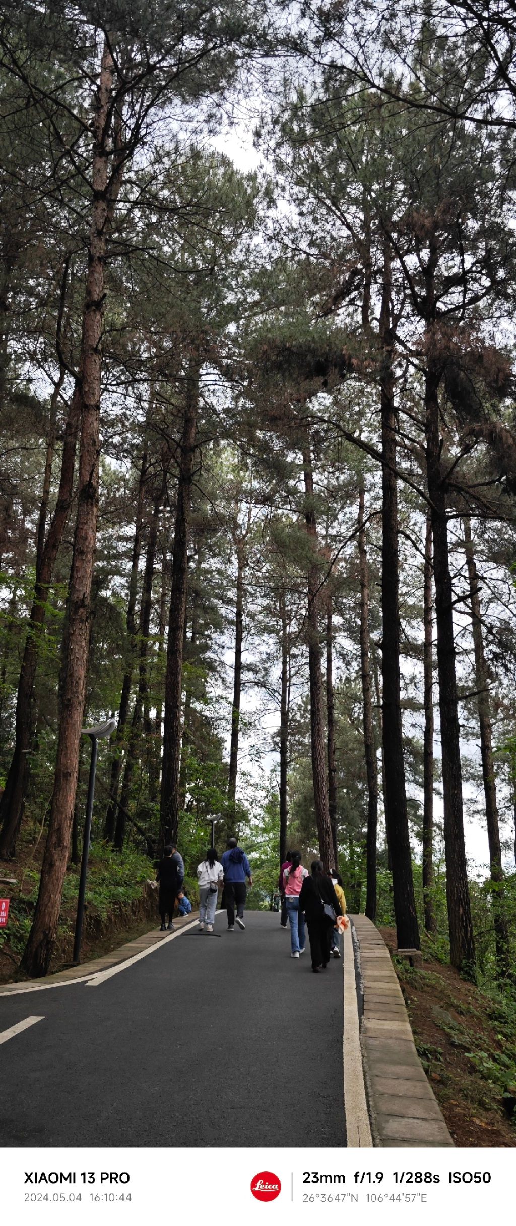 登高云山森林公园旅行图片 1