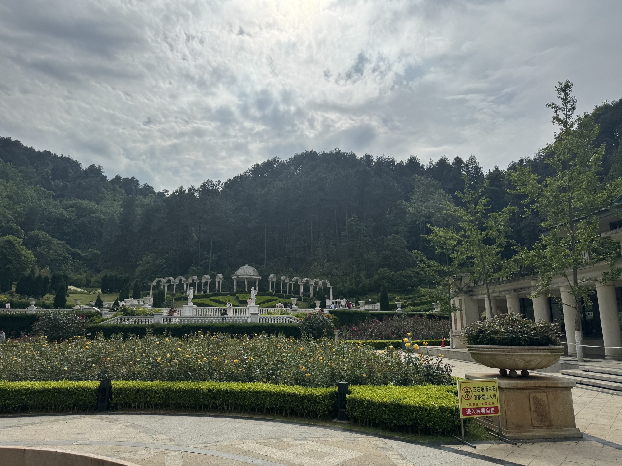 登高云山森林公园旅行图片 3