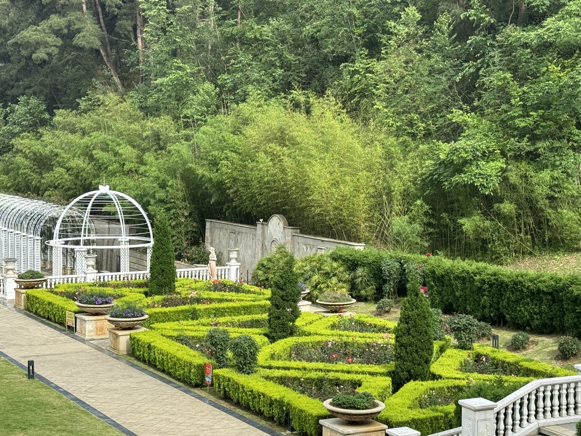登高云山森林公园旅行图片 1