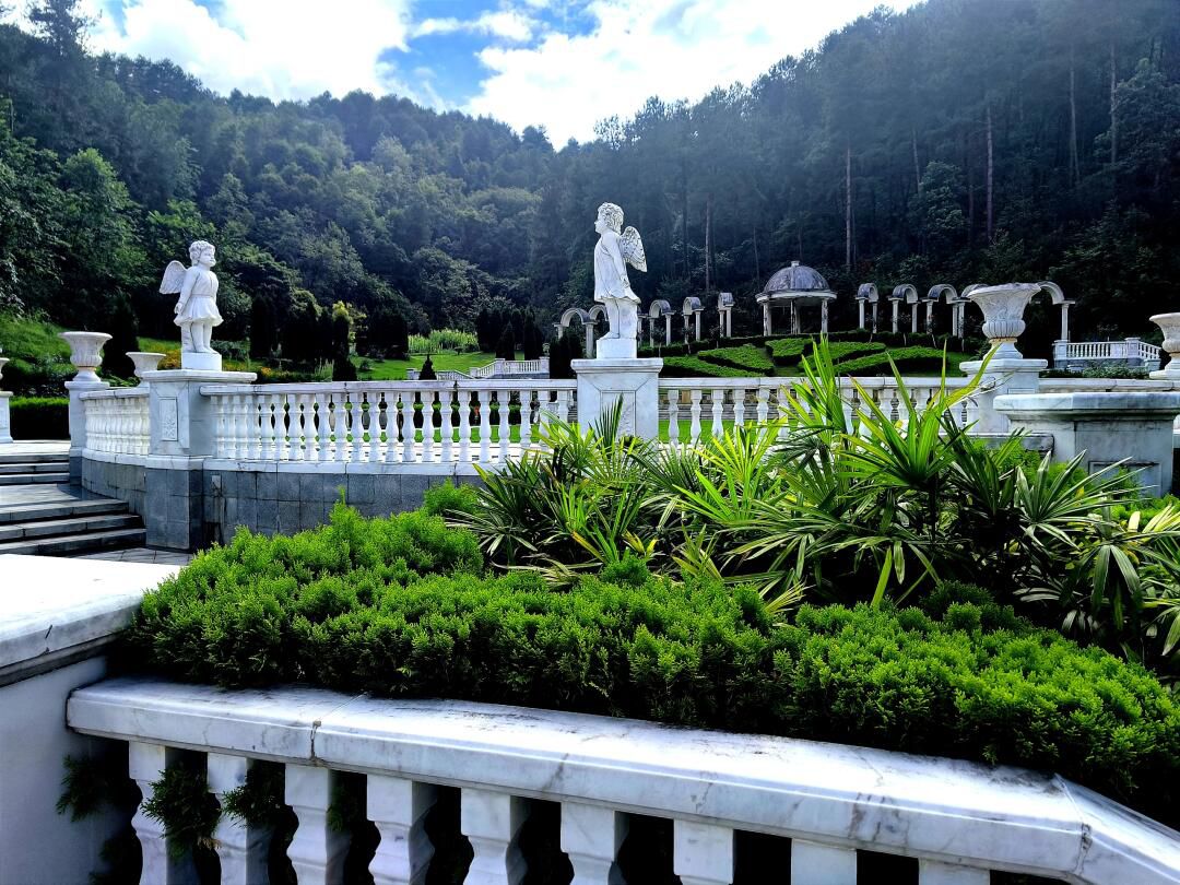 登高云山森林公园旅行图片 1