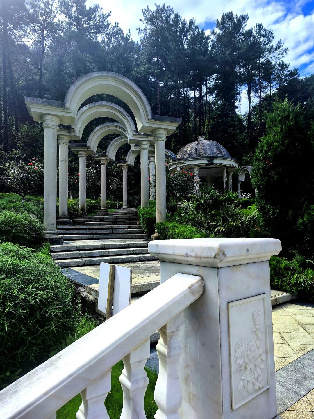 登高云山森林公园旅行图片 2
