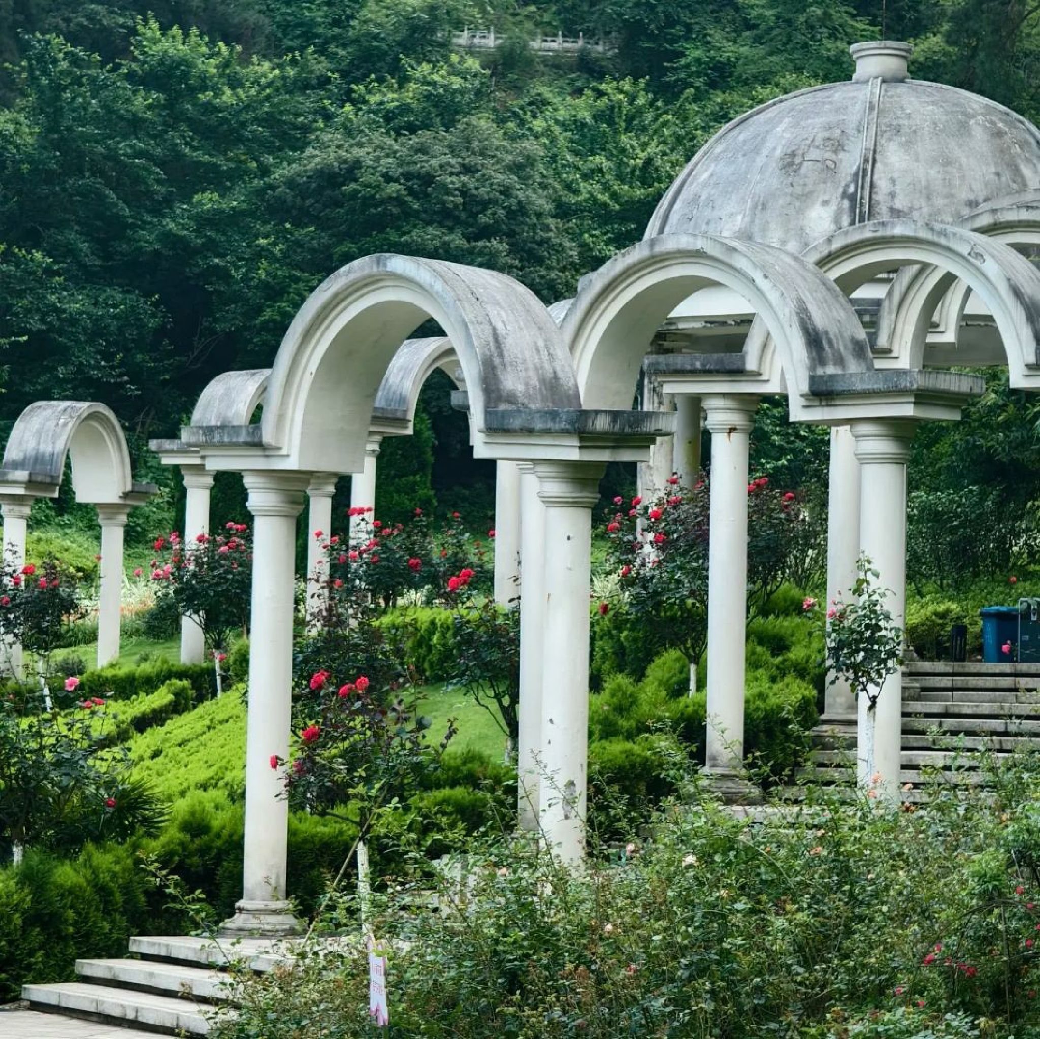 登高云山森林公园旅行图片 1
