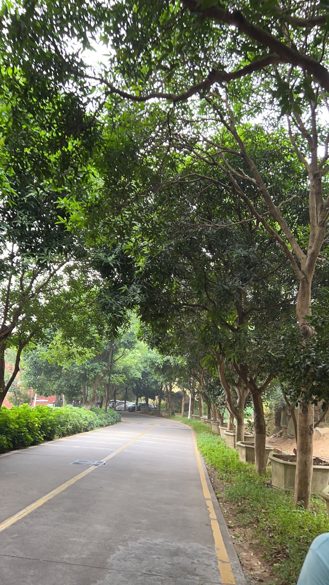 京南华美胜地旅游度假区旅行图片 3
