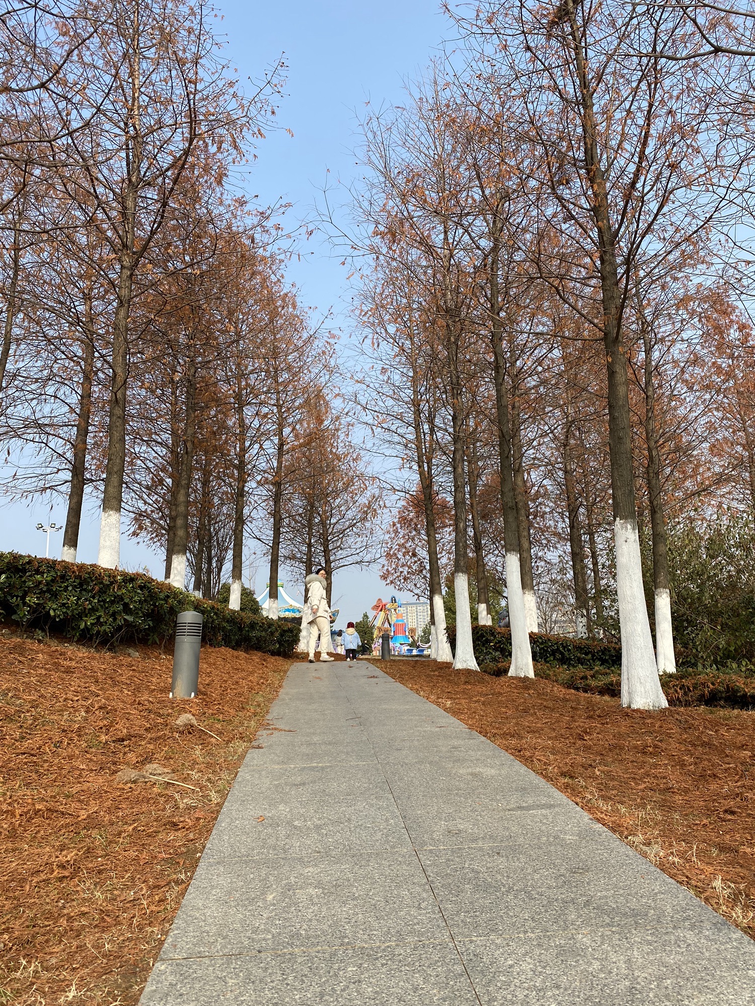 幸庄湿地公园旅行图片 1