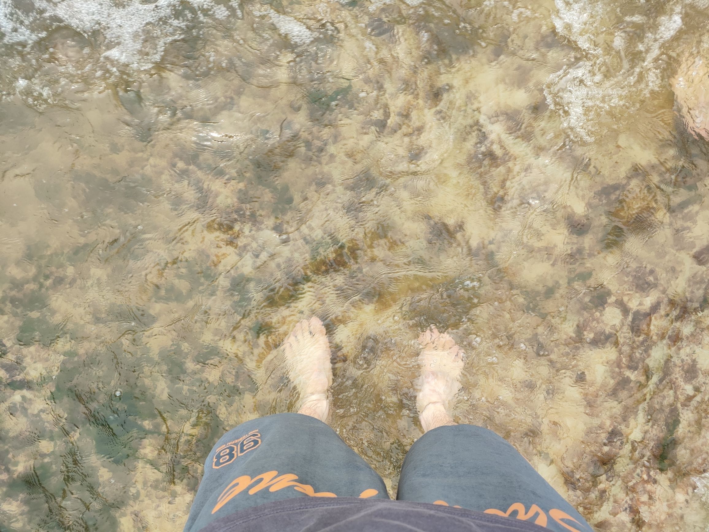 幸庄湿地公园旅行图片 3