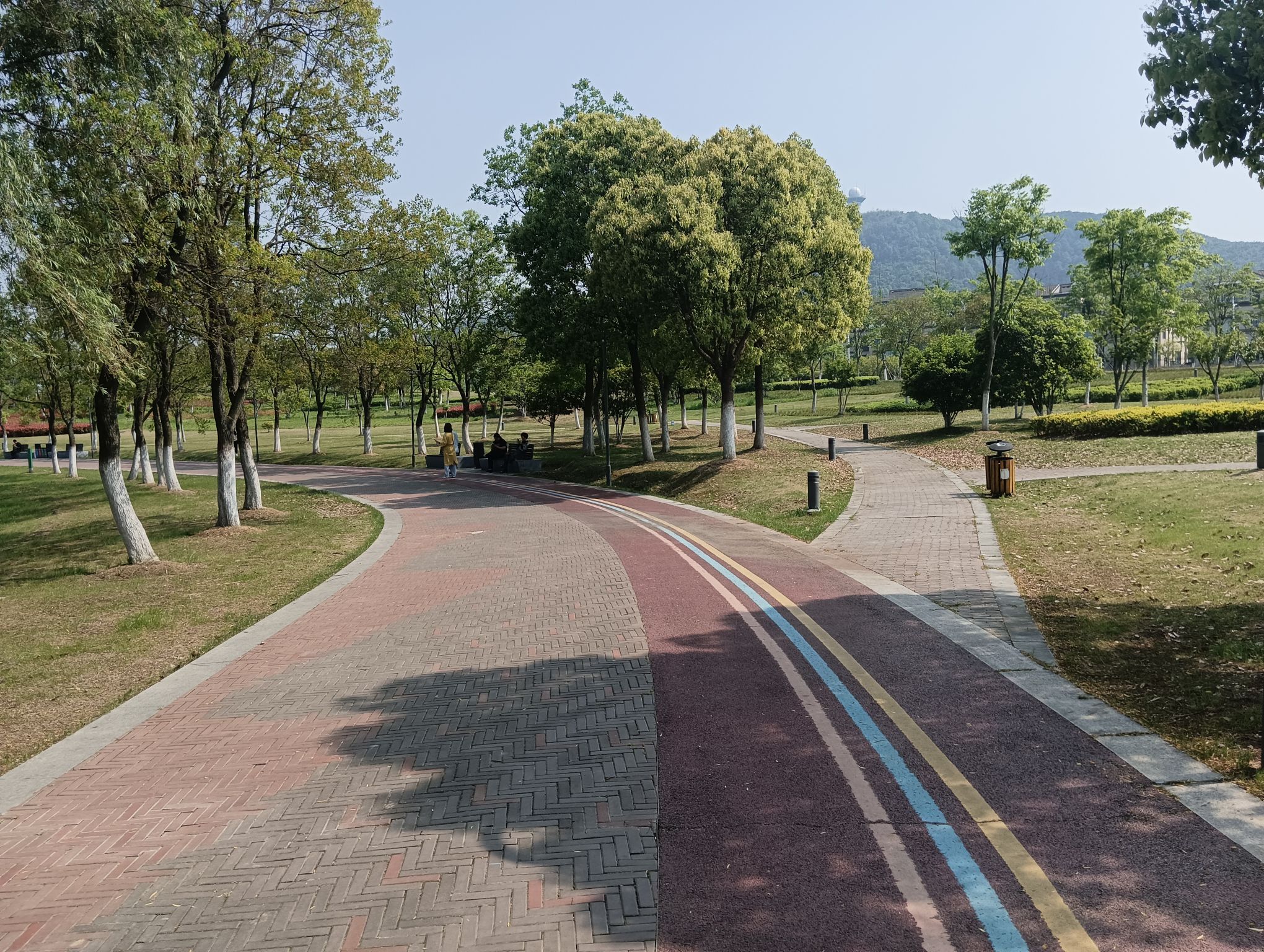 幸庄湿地公园旅行图片 2