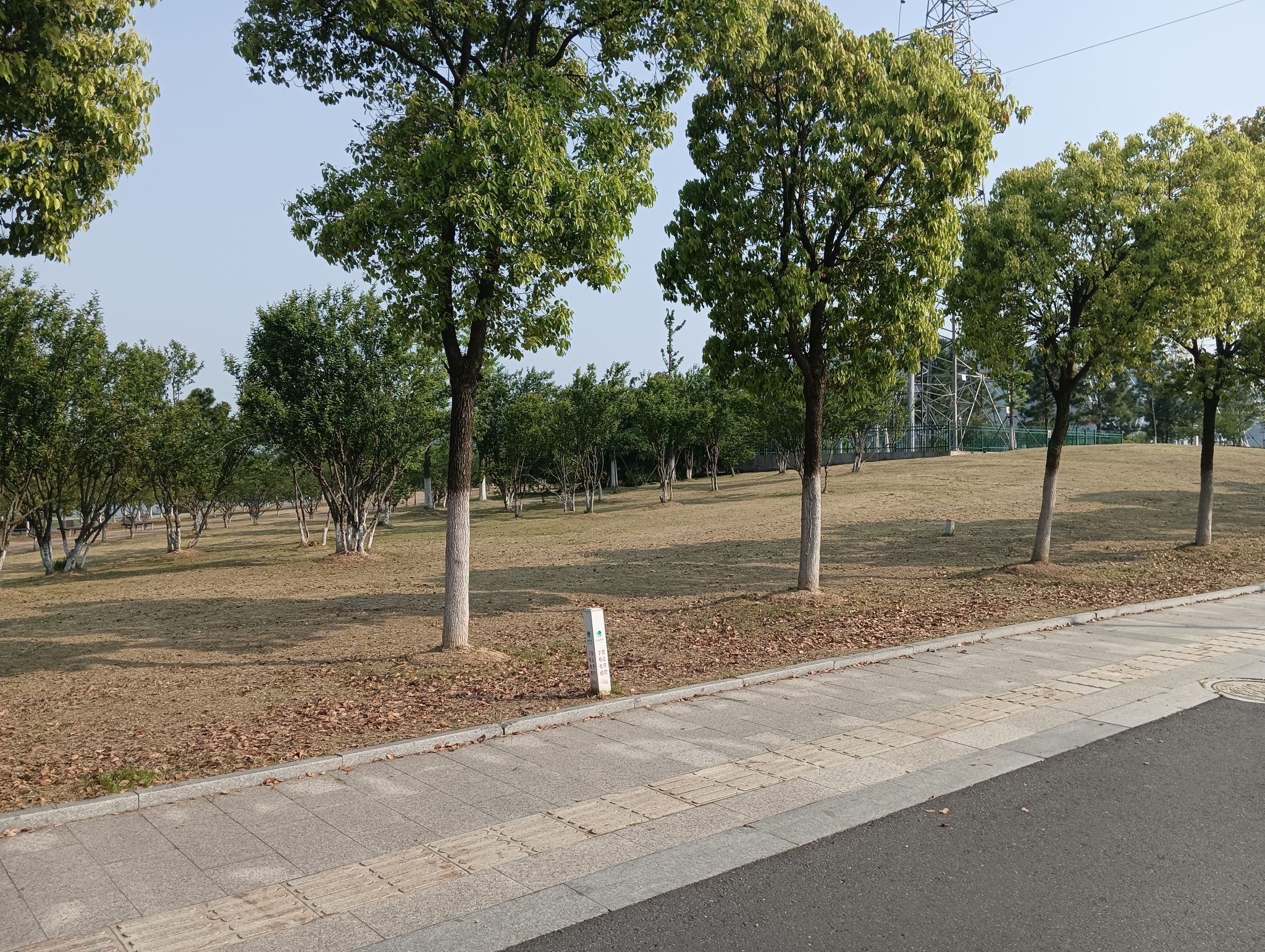 幸庄湿地公园旅行图片 1