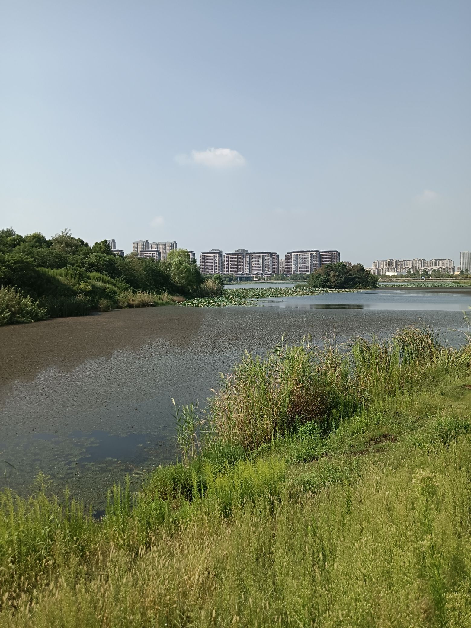 幸庄湿地公园旅行图片 2