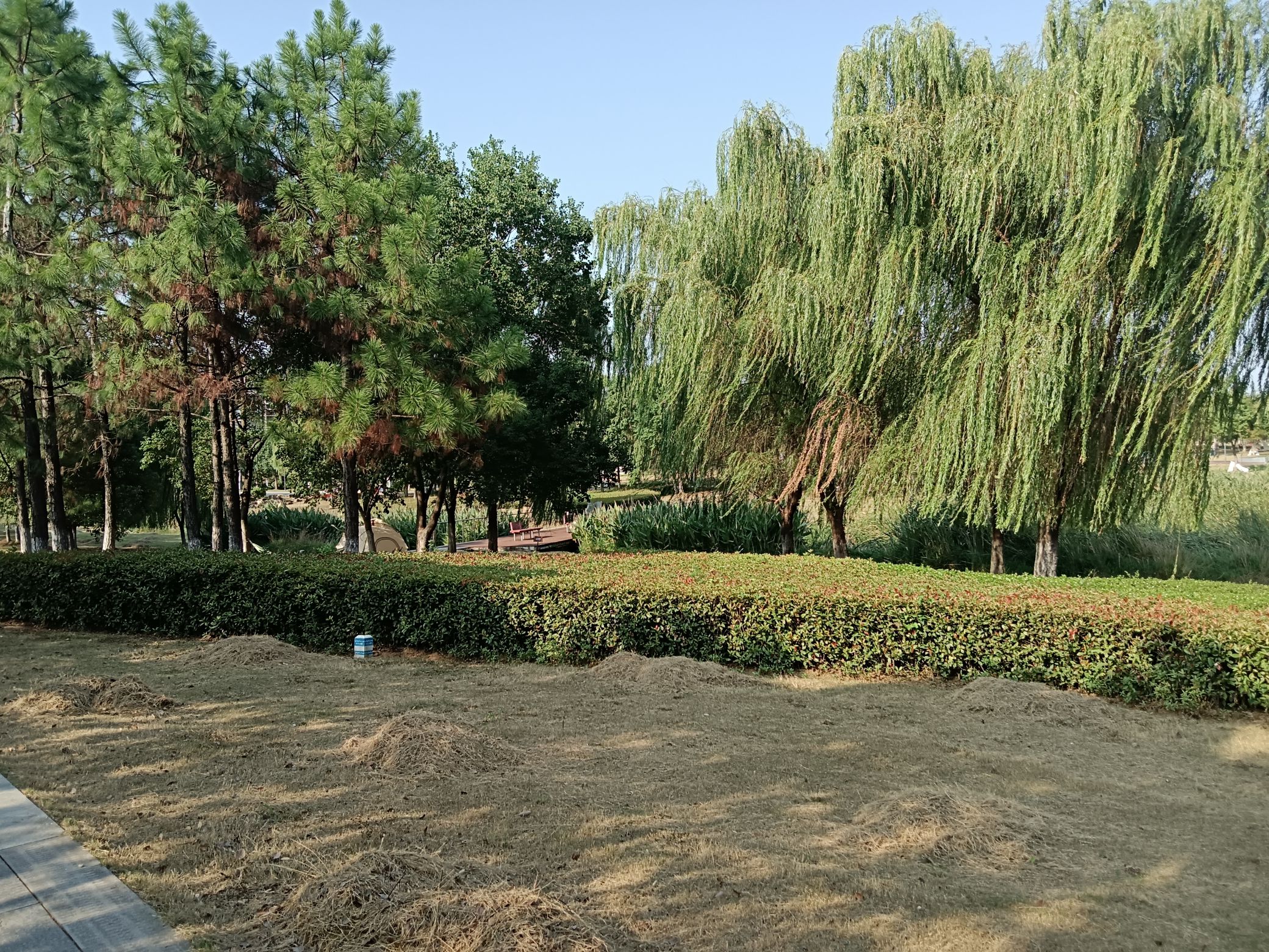 幸庄湿地公园旅行图片 1