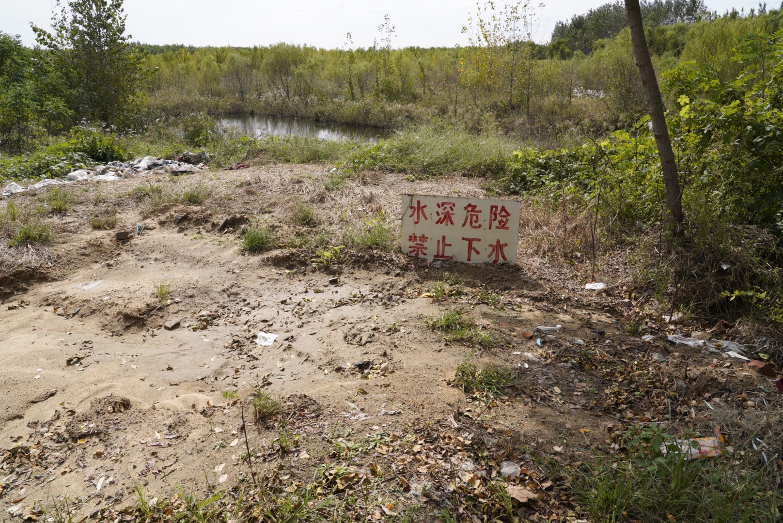 大沽河湿地公园旅行图片 2
