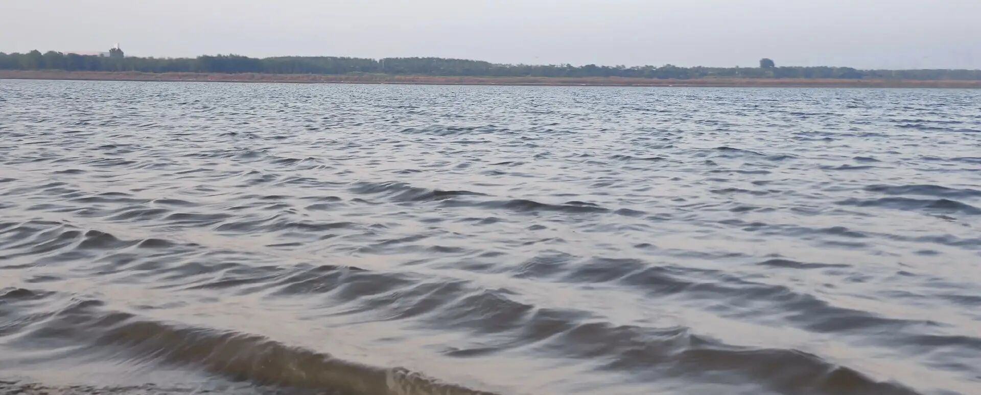 大沽河湿地公园旅行图片 3