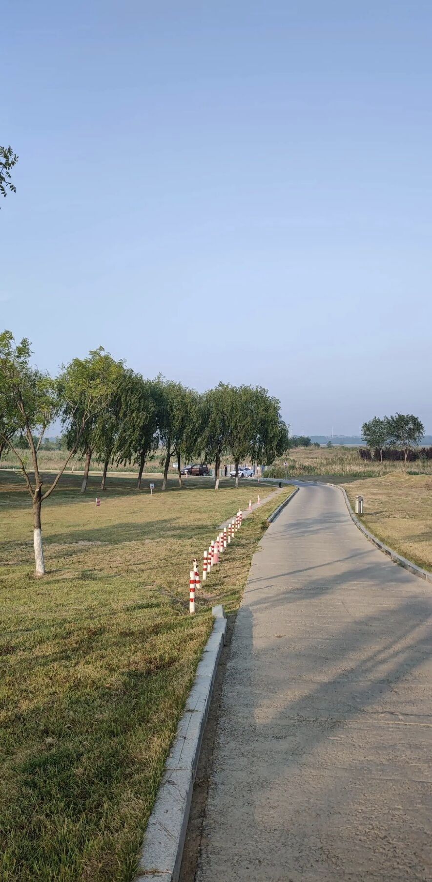 大沽河湿地公园旅行图片 1