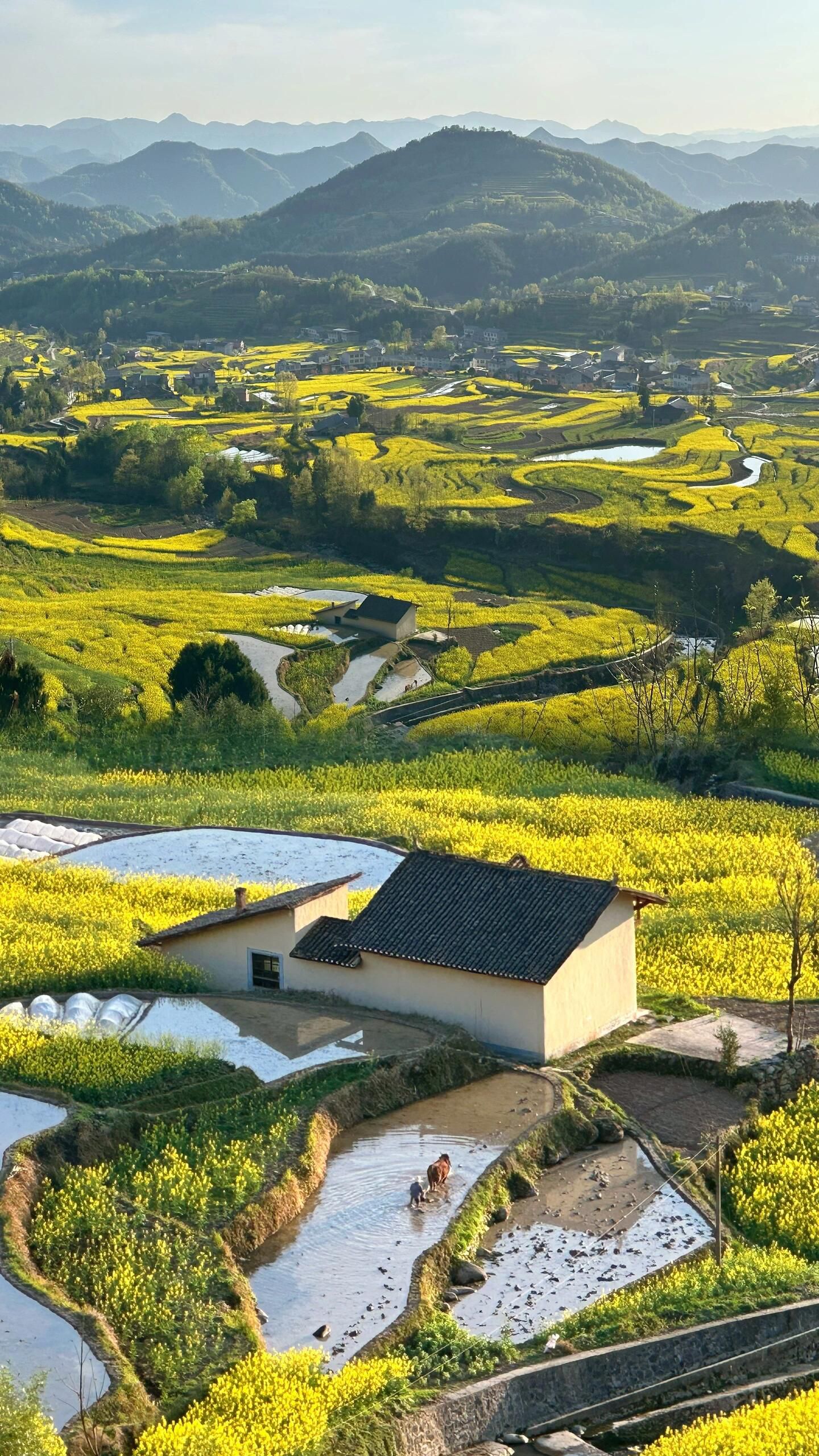 陕西凤堰古梯田景区