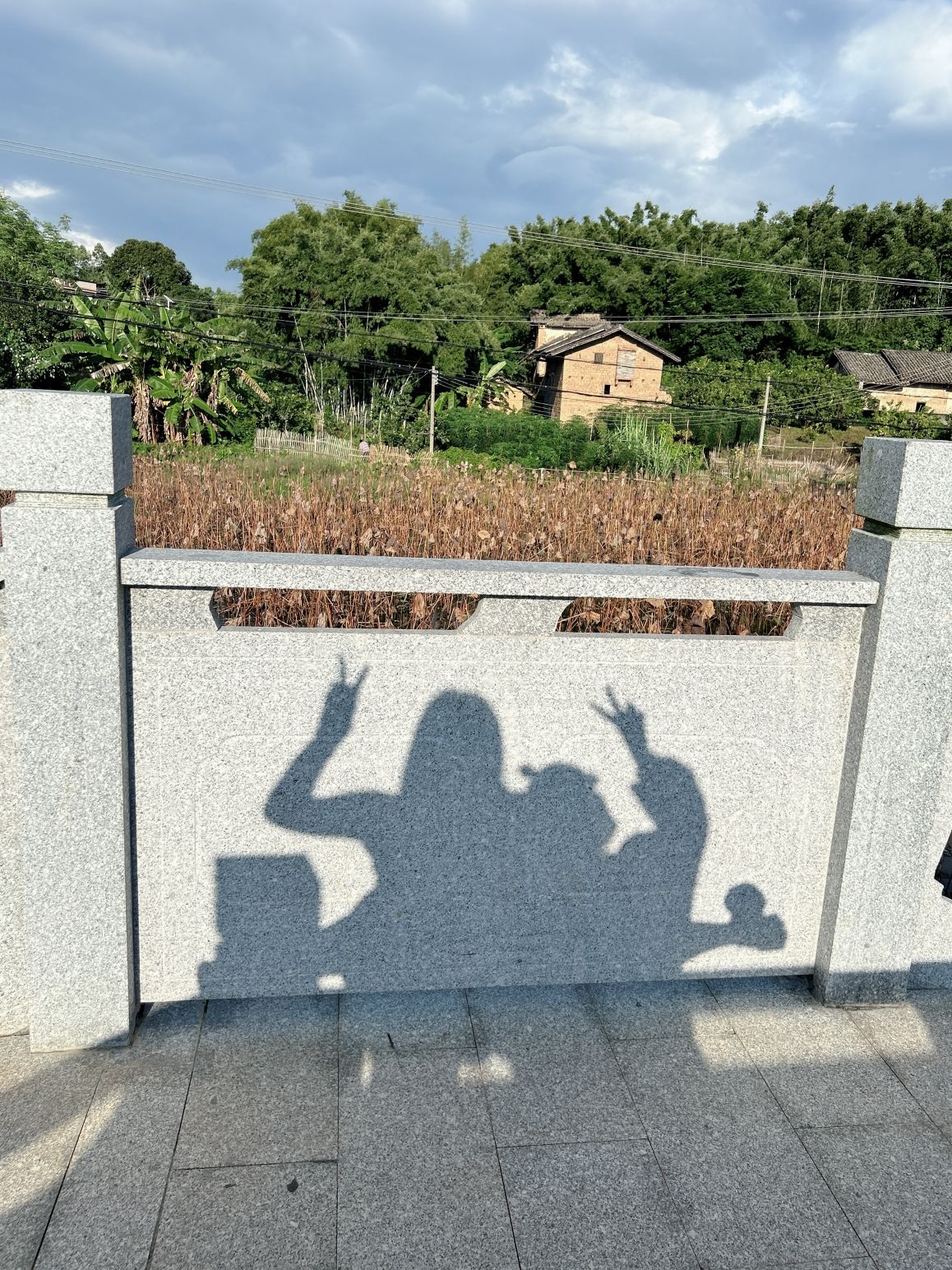 容县自良镇龙镇村生态文化公园旅行图片 3