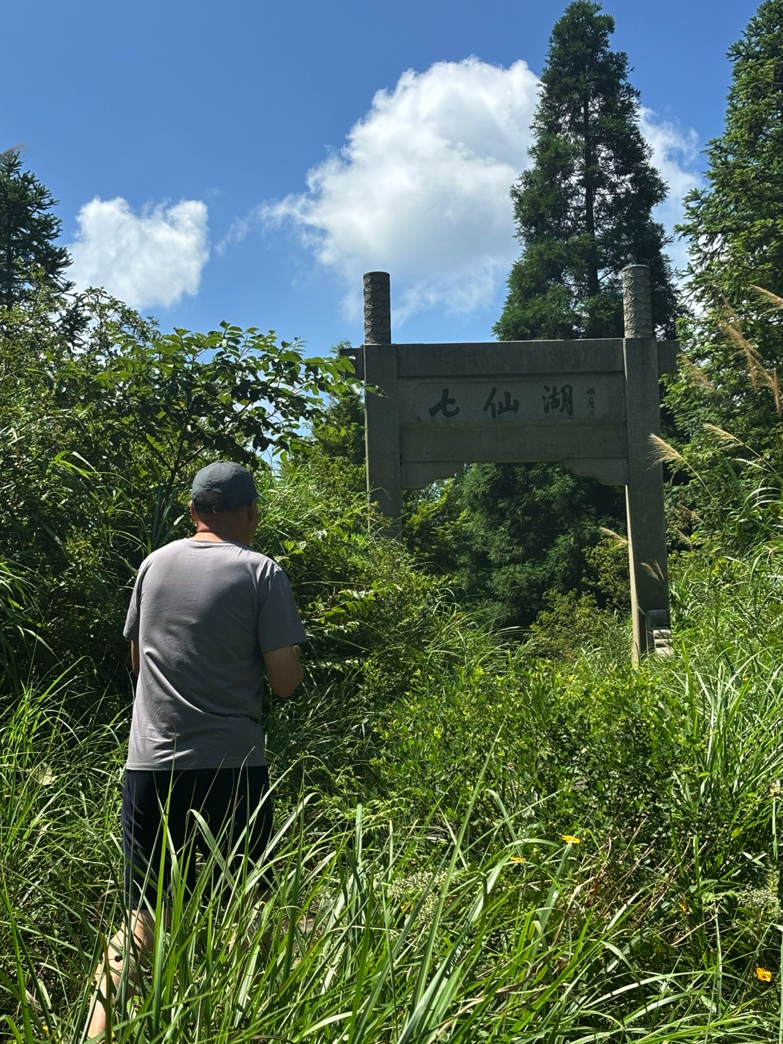 七仙湖湿地公园旅行图片 2