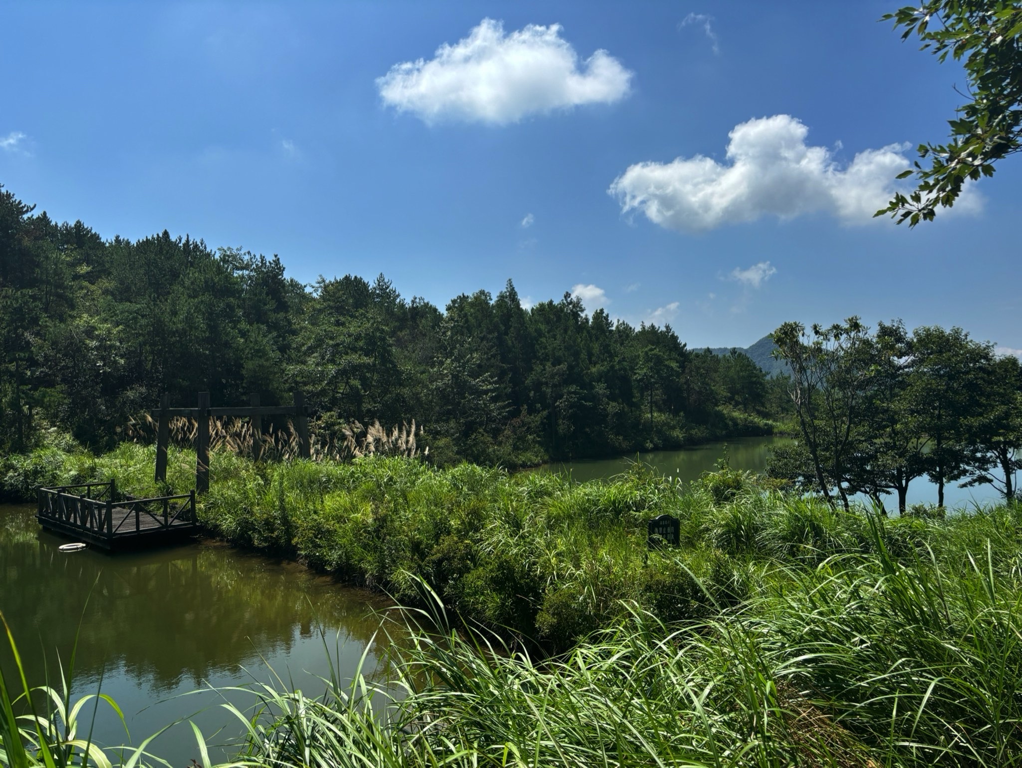 七仙湖湿地公园