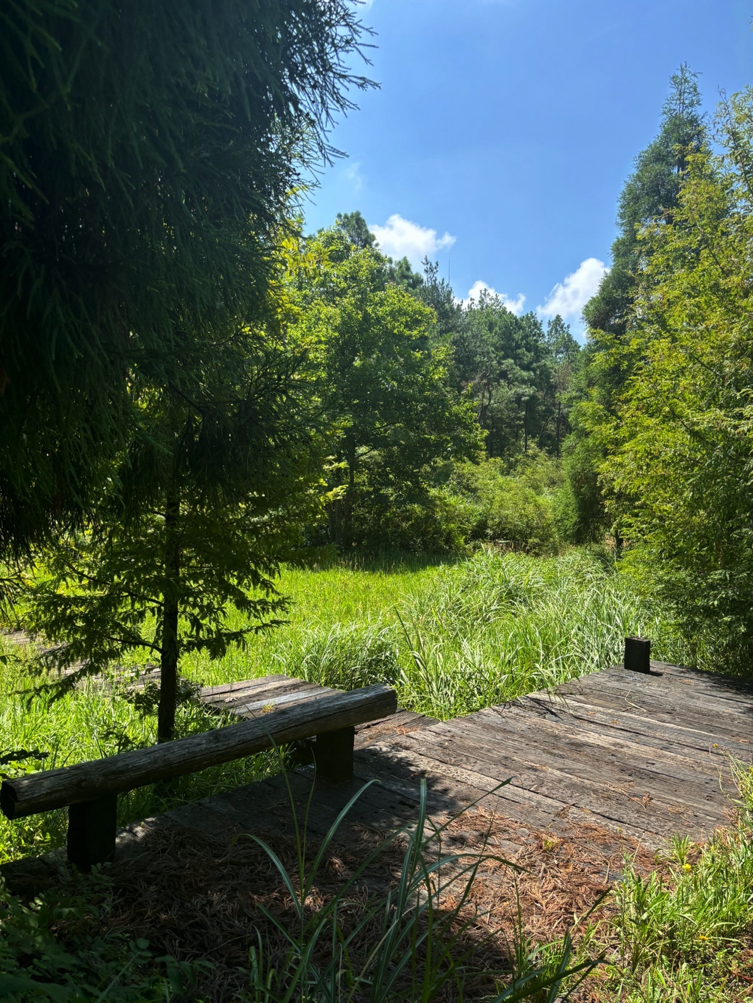 七仙湖湿地公园旅行图片 3
