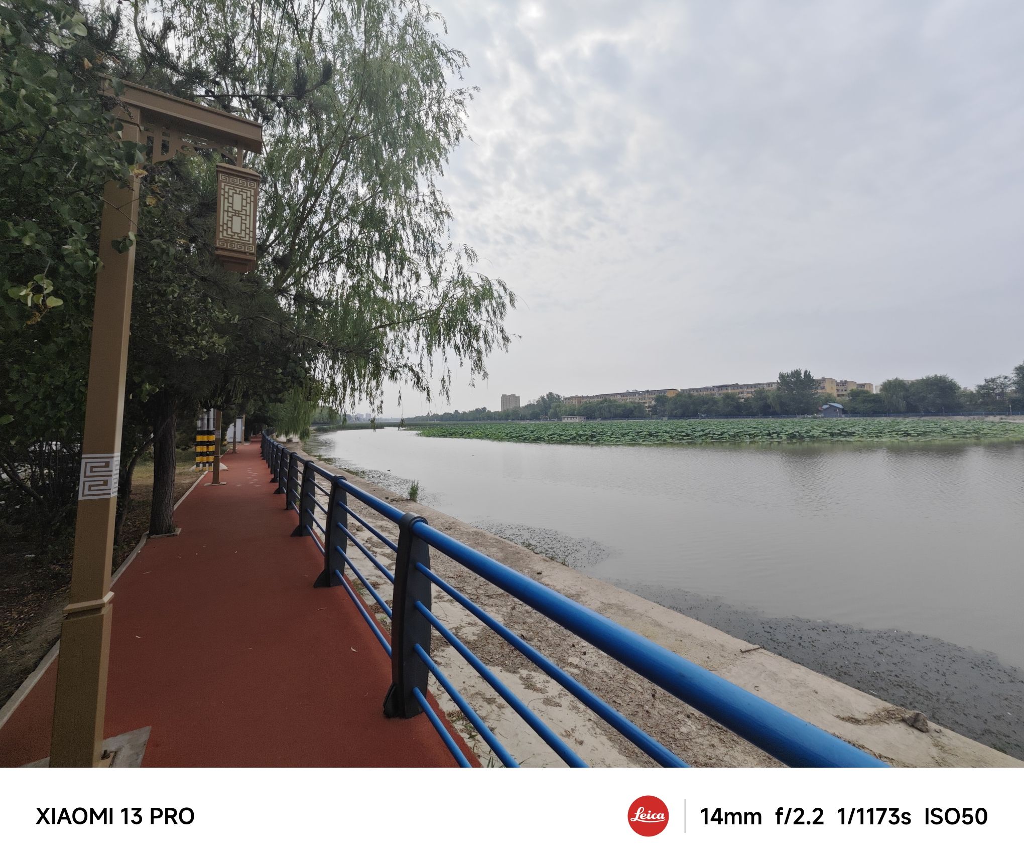 洪洞森林公园旅行图片 2