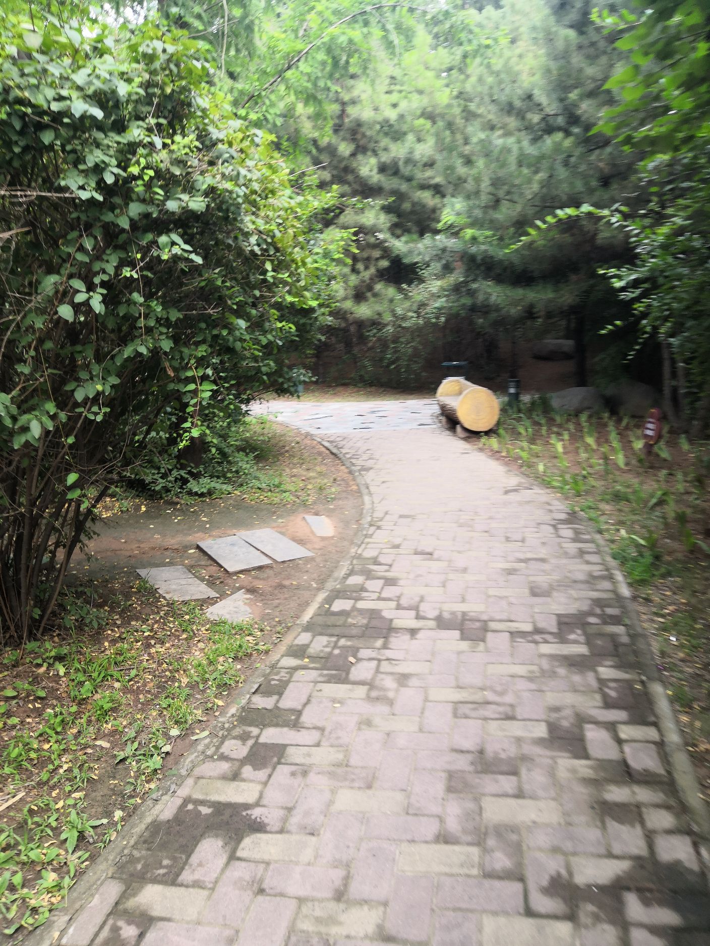 洪洞森林公园旅行图片 3