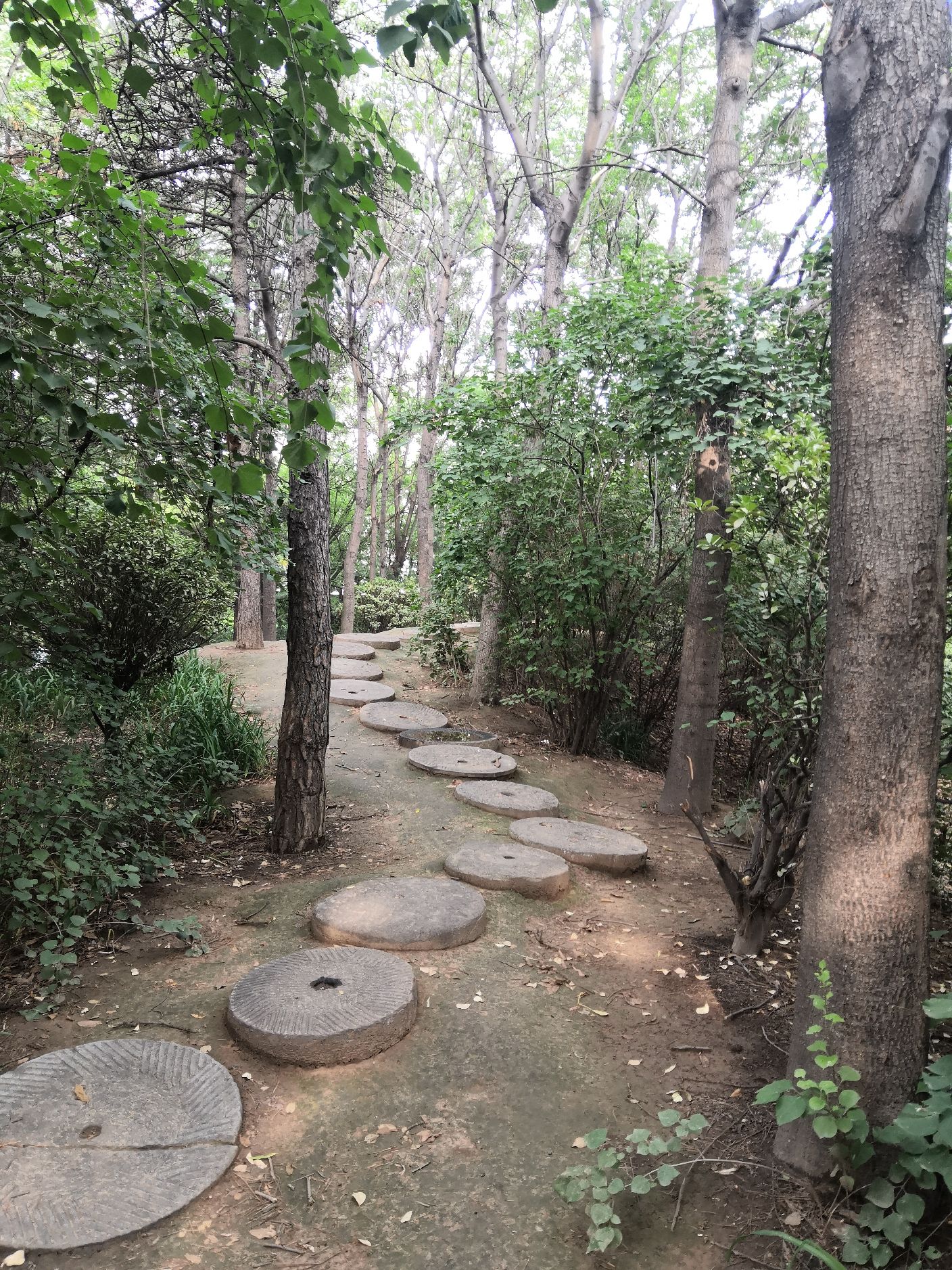 洪洞森林公园旅行图片 2