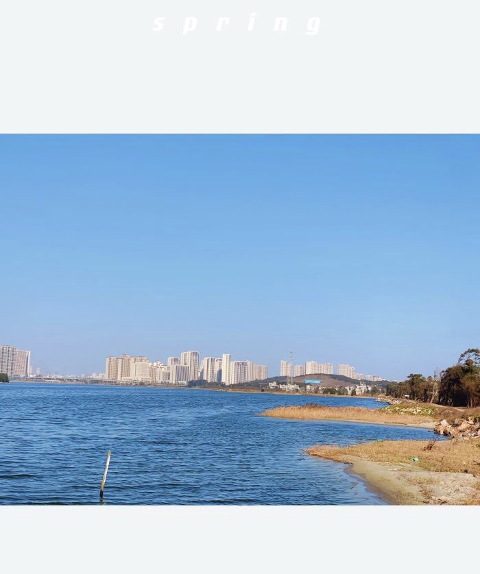 竹屿湖公园旅行图片 3