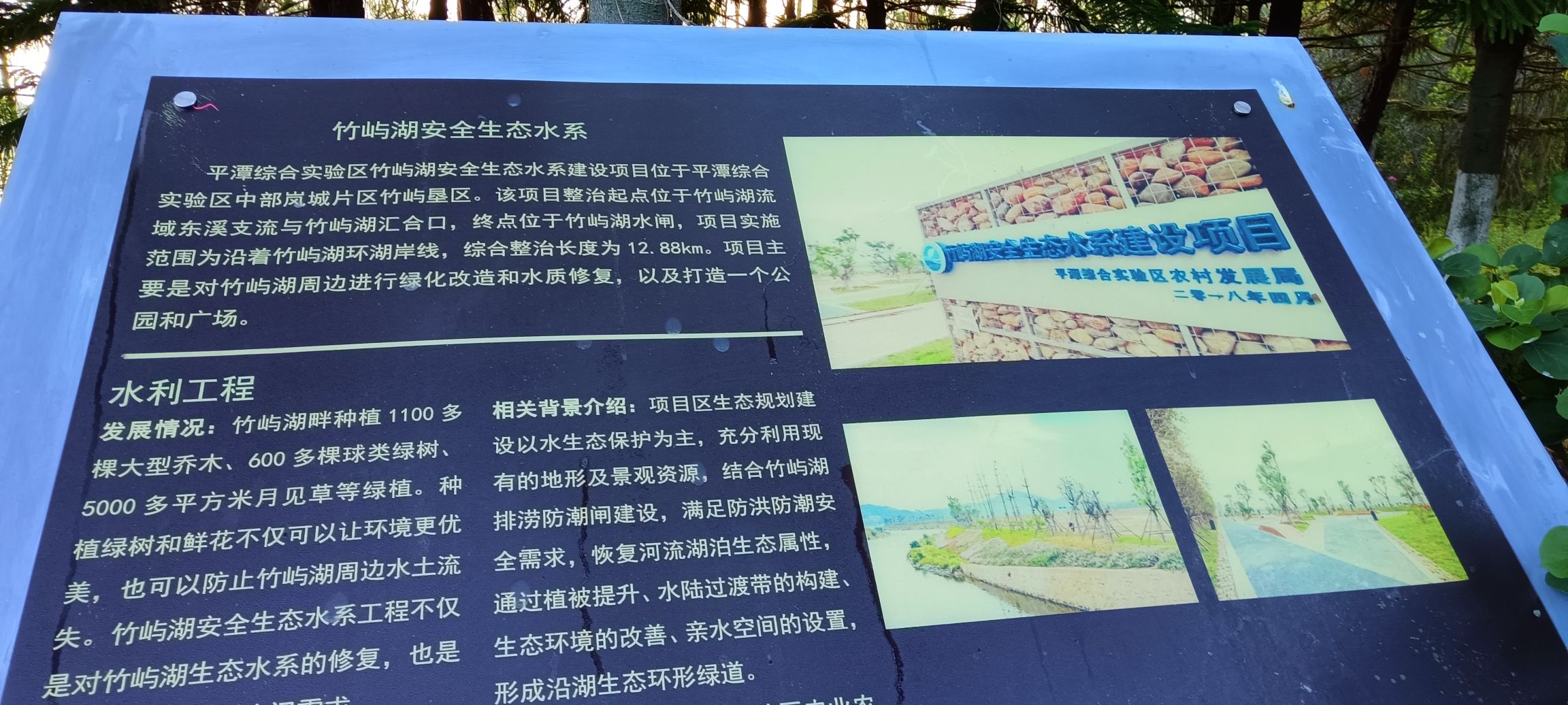 竹屿湖公园旅行图片 1