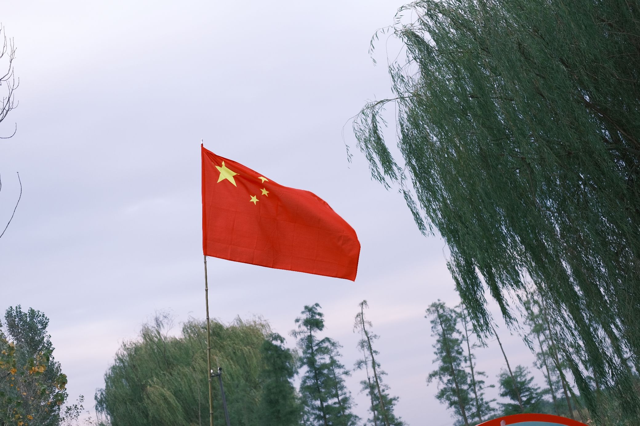 丰县黄河故道大沙河国家湿地公园旅行图片 2