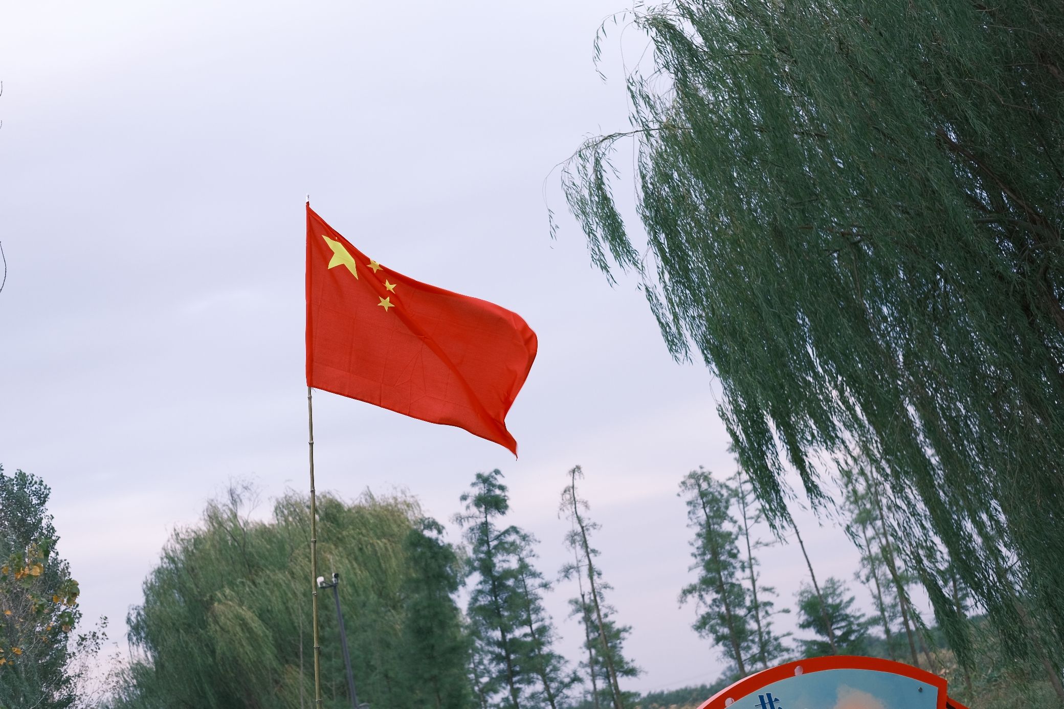 丰县黄河故道大沙河国家湿地公园旅行图片 3